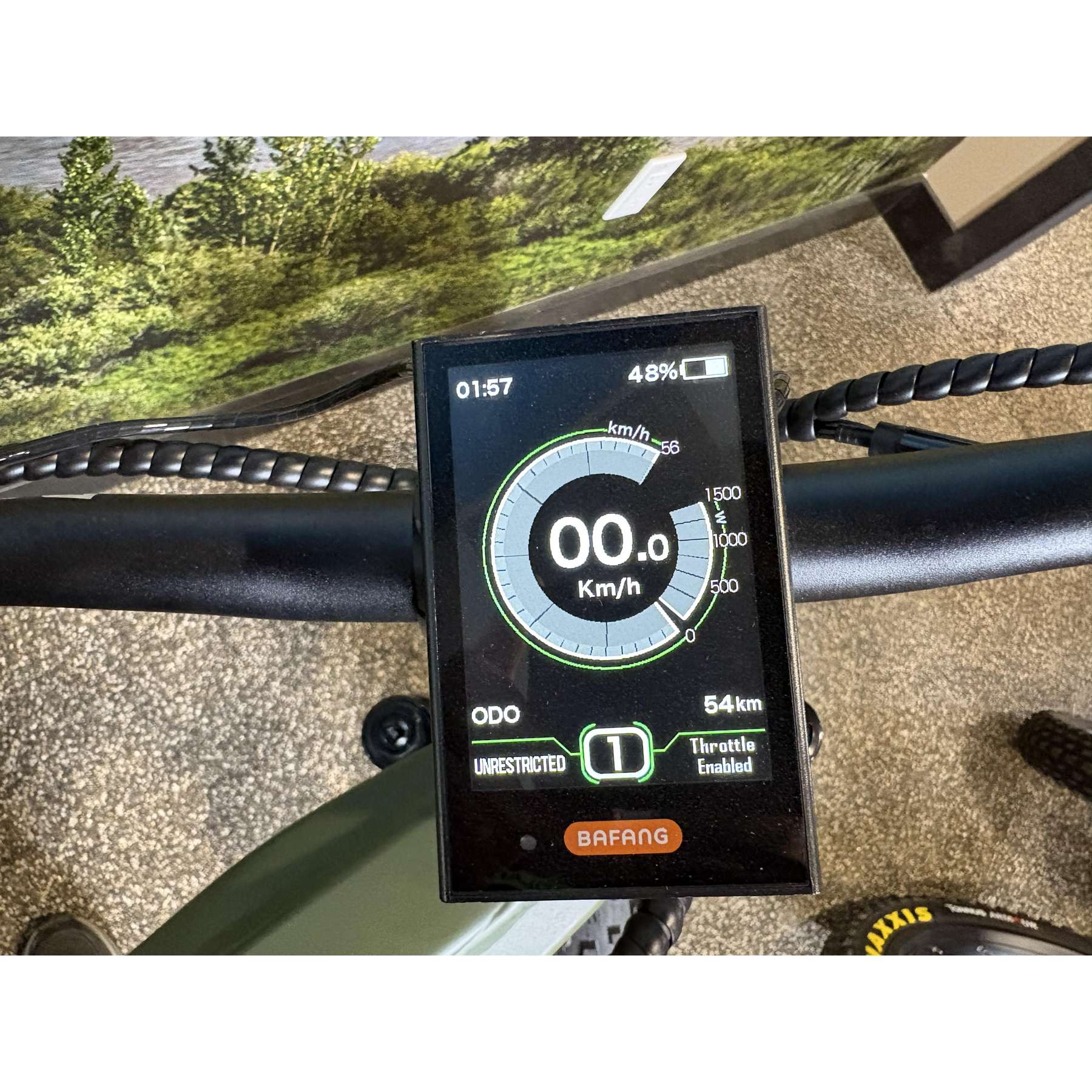 Scout 19" Frame 21AH Matte Army Green Showroom Special
