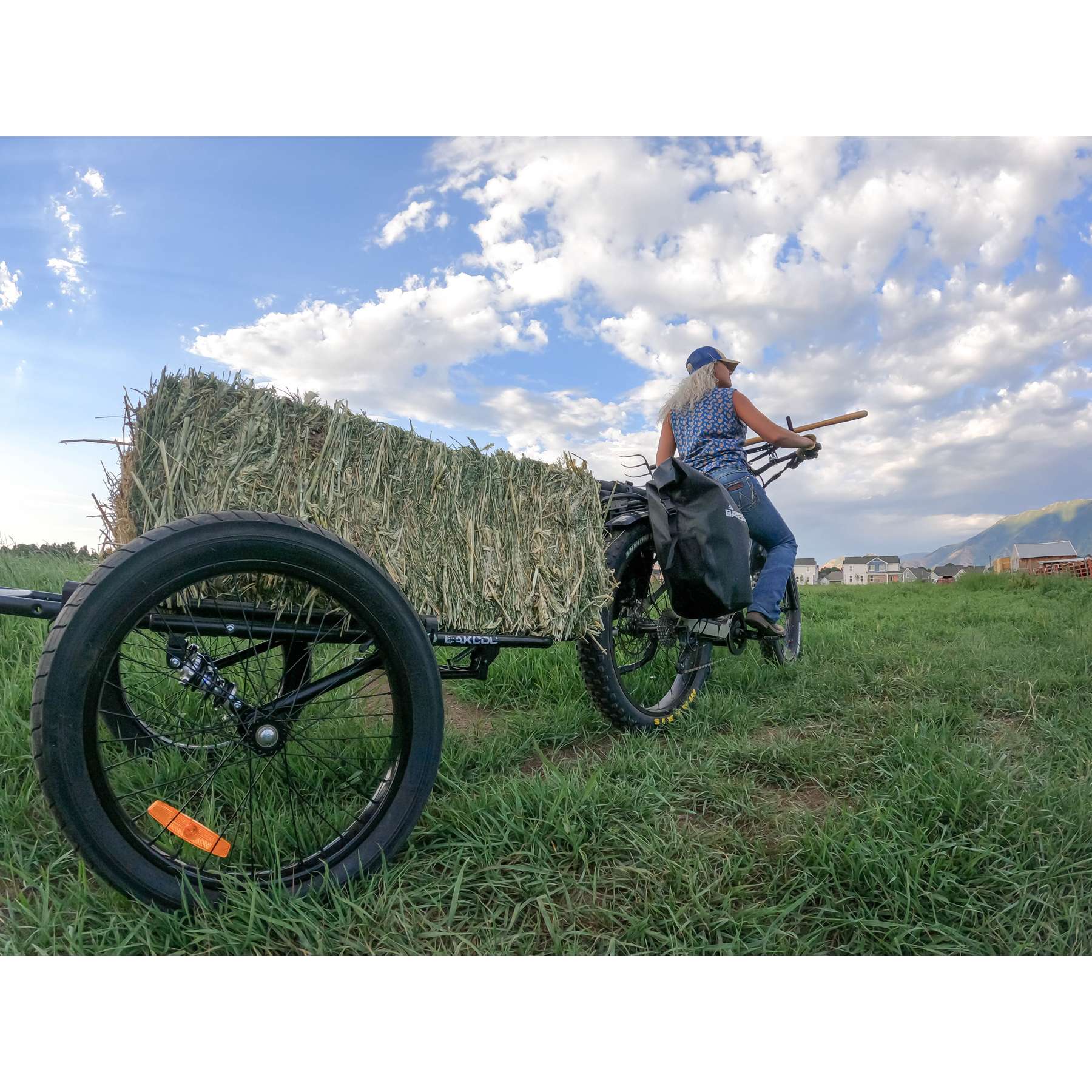 Folding Deer eBike Trailer