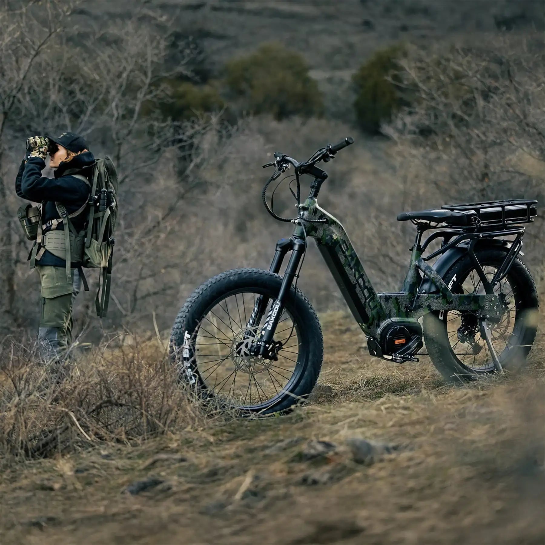 20ah Battery with Rear Rack